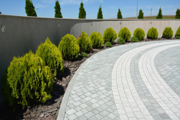 Best Driveway Paving Contractor  in Wekiwa Springs, FL